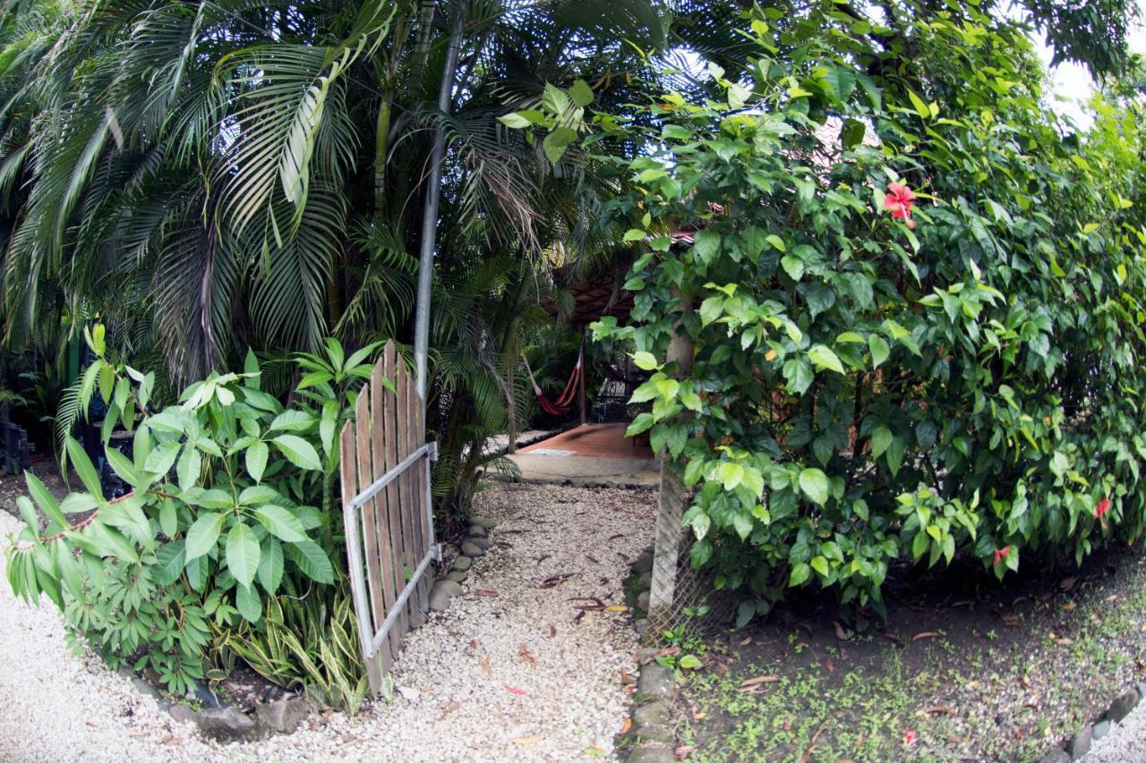 Готель Disfrutalo Playa Santa Teresa  Екстер'єр фото